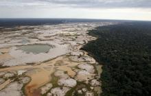 Begini kondisi hancur Hutan Amazon yang digerogoti tambang liar