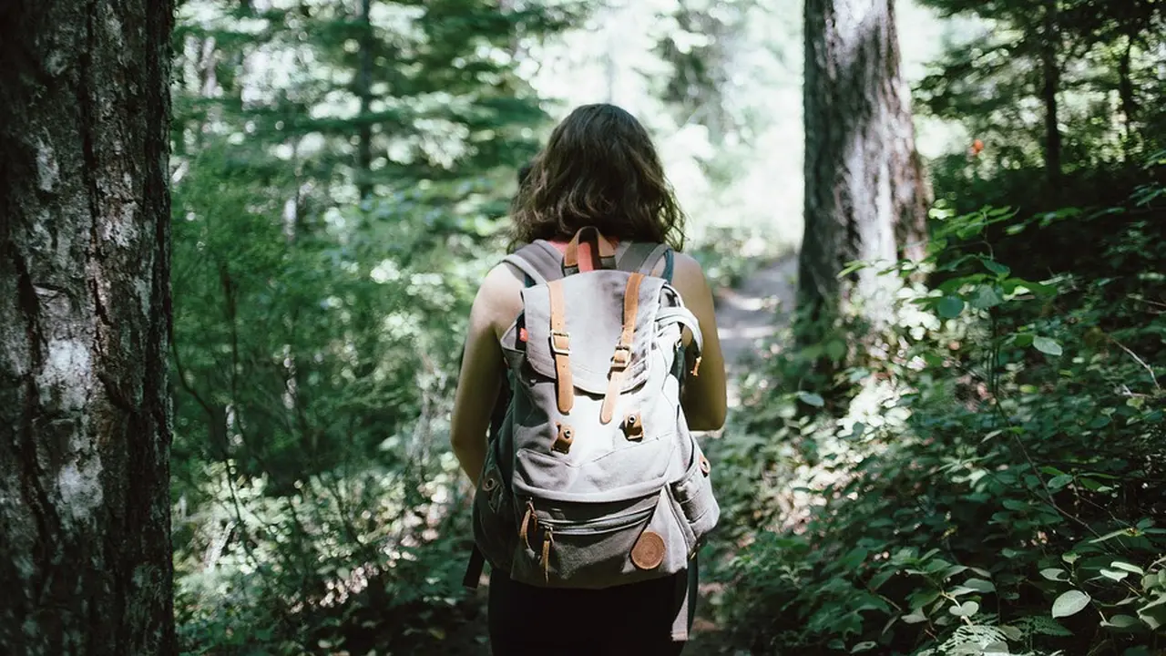 Ilustrasi Backpacker.