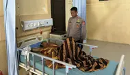 Kronologi Pembunuhan IRT Muda di Lampung oleh Suami Siri