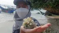 Salah satu mahasiswa anggota Generasi Baru Bank Indonesia (Genbi) menunjukan terumbu karang siap tanam di kawasan Pantai Pangandaran, Jawa Barat. (Liputan6.com/Jayadi Supriadin)