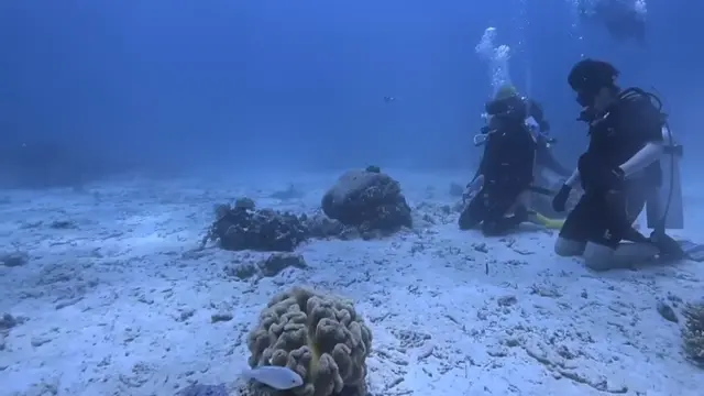 El Rumi menyelamat di laut