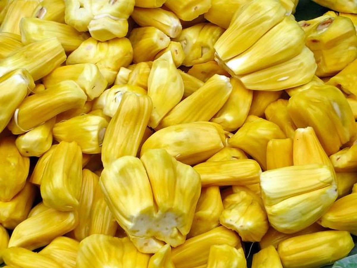 Cara Aman Mengonsumsi Nangka