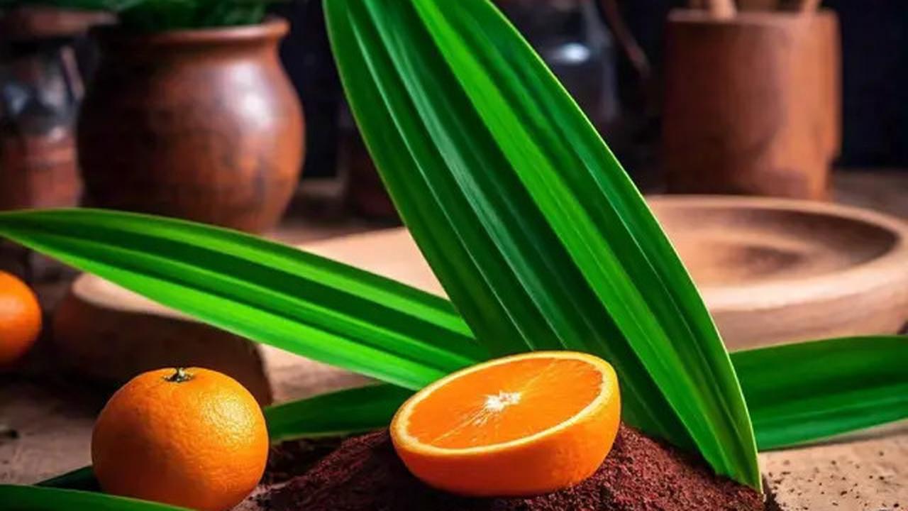 9 Makanan yang Bisa Kontrol Kadar Gula Darah, Cocok untuk Penderita Diabetes