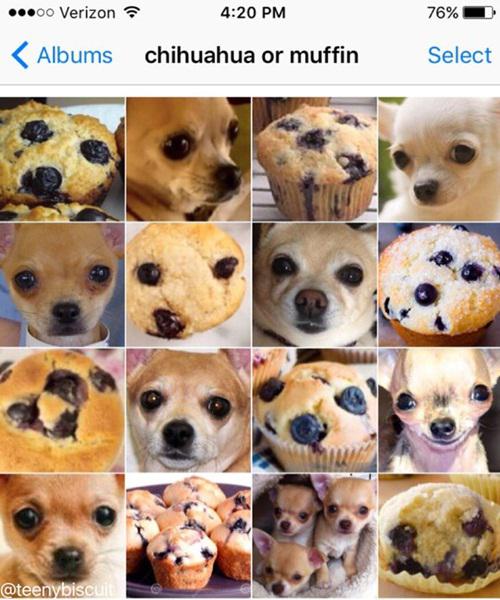 copyright by @teenybiscuit