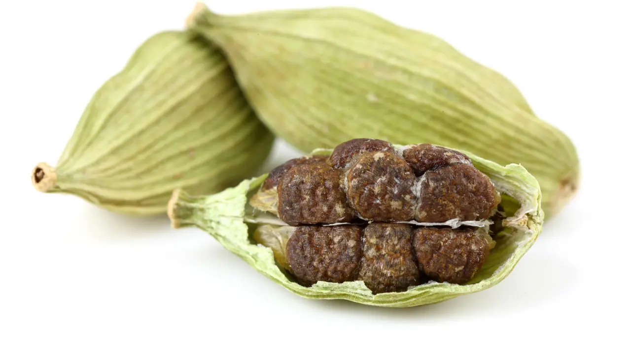 Manfaat Kapulaga