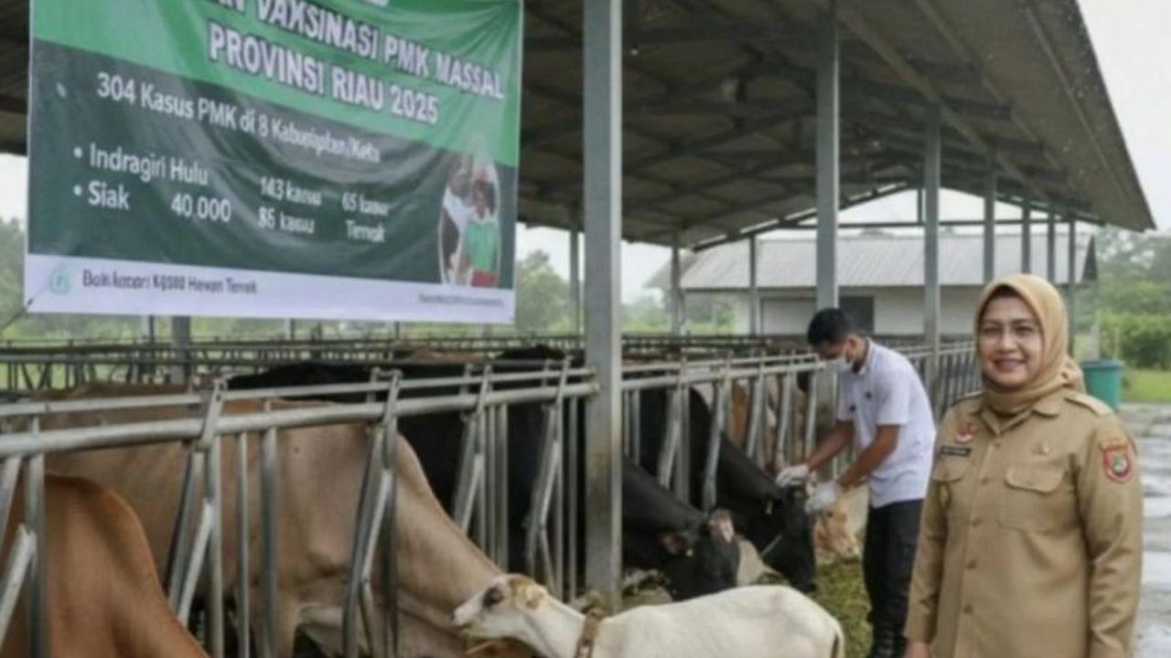 Dinas PKH Riau Catat 758 Kasus PMK Riau Sepanjang Januari-Mei 2026