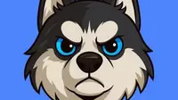 TOGO the Dog: Token Meme di Jaringan Blockchain Base