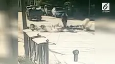 Sebuah jalan di kota Baoding, China tiba-tiba meledak karena gelombang panas yang melanda wilayah tersebut. Akibatnya dua orang terluka dalam insiden ini.
