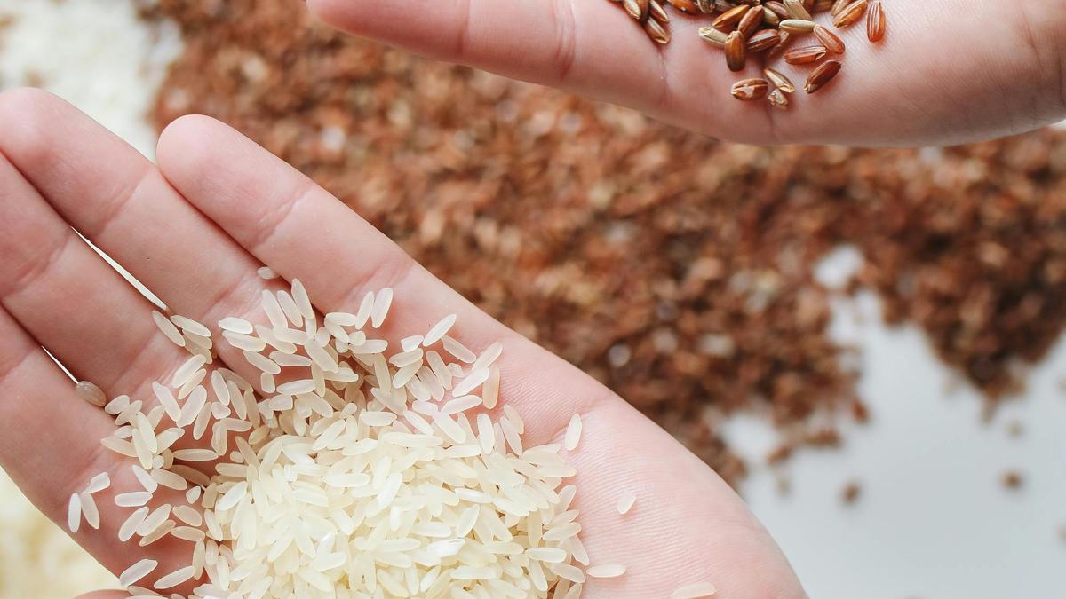 Manfaat Nasi Merah Dibanding Nasi Putih, Pilihan Sehat untuk Jantung dan Gula Darah