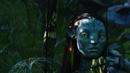 Penampilan karakter Neytiri di film Avatar yang rilis tahun 2009. Pemilik nama Zoë Yadira Saldaña Nazario ini kembali memerankan karakter Neytiri dalam film Avatar 2: The Way of Water. (Instagram/@avatar)
