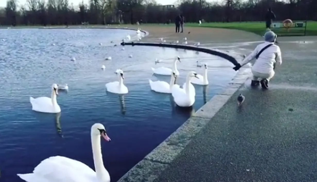 Ia pun juga mengunjungi salah satu tempat di London yang suasananya tampak rindang dengan pepohonan, serta Angsa-angsa yang sedag berenang di air. Terlihat juga di video singkat itu burung-burung terbang sambil berkicau. (Instagram/rinanose16)