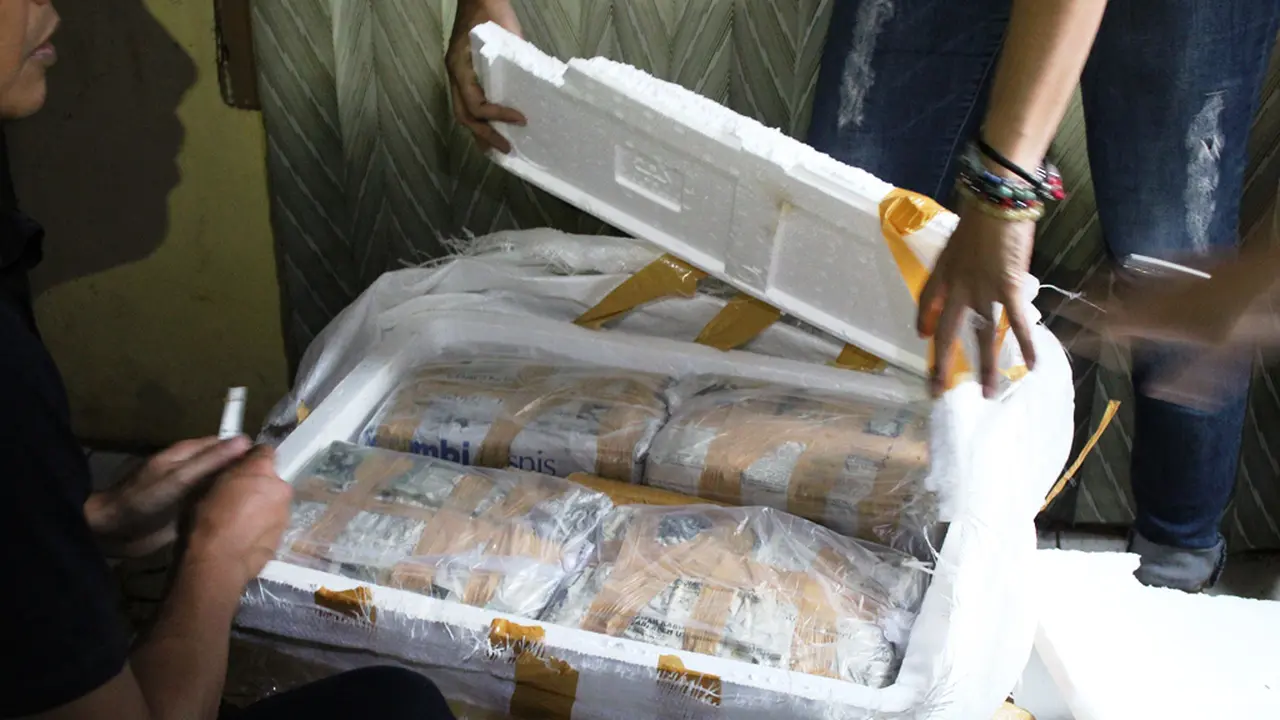 21 Kg Ganja di Bogor