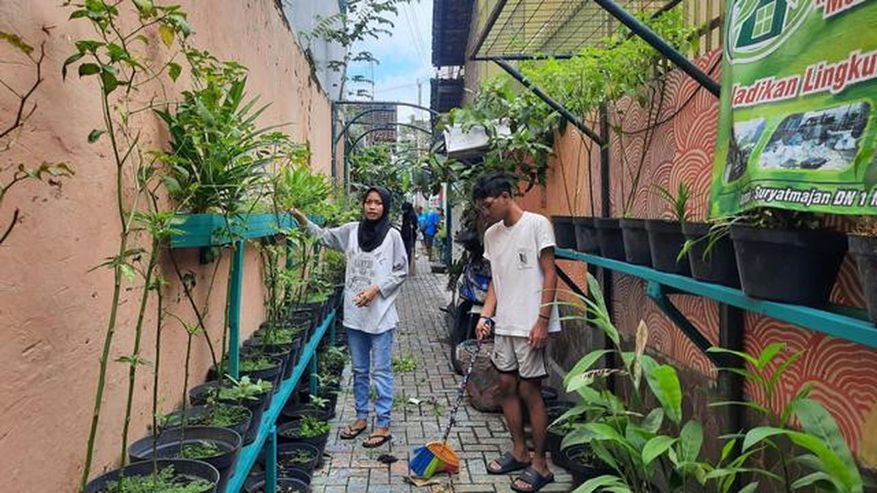 6 Sayuran yang Cocok Ditanam di Perkotaan Meski Minim Matahari