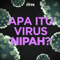 Mengenal Virus Nipah yang Jadi Ancaman Pandemi Baru di Asia