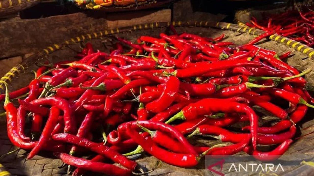 Tahukah Anda? Mayoritas Harga Pangan Nasional Turun, Cabai Rawit di Rp44 Ribu/Kg