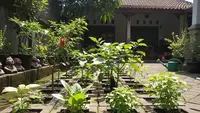 6 Cara Menanam Sayuran di Paving Block, Ide Kreatif Maksimalkan Halaman