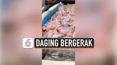 DAGING BERGERAK