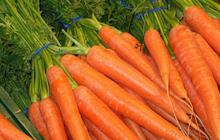 4 Manfaat Vitamin A untuk Bayi, Menjaga Kesehatan Mata dan Imun Tubuh