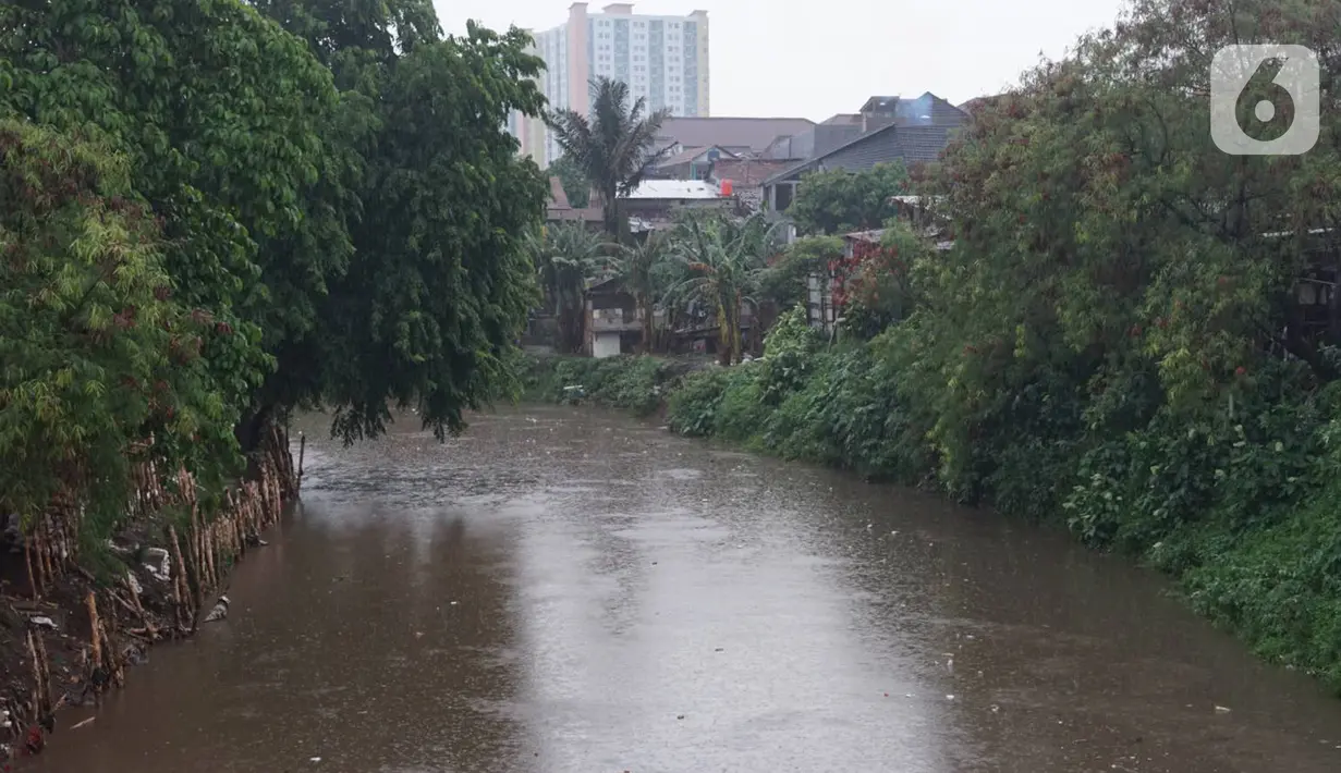 Suasana aliran Sungai Ciliwung di kawasan Rawajati, Jakarta, Selasa (17/12/2019). Hujan deras yang mengguyur Jakarta sejak siang menyebabkan debit air Sungai Ciliwung mulai mengalami kenaikan, namun masih terpantau normal. (Liputan6.com/Immanuel Antonius)