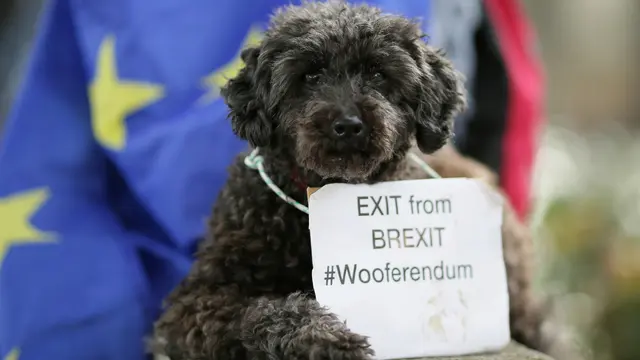 Pawai Wooferendum