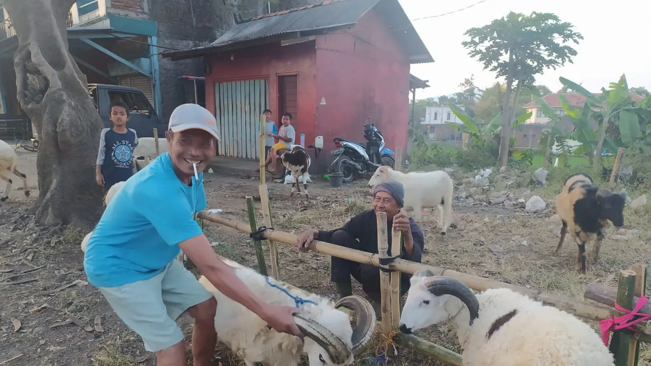 Para pedagang hewan domba Garut, Jawa Barat, nampak lesu akibat minimnya penjualan hewan kurban, saat menjelang Idul Adha 1441/2020.