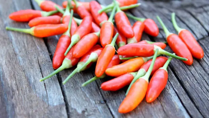 Foto: copyright thinkstockphotos.com