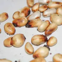 Biasanya, kita hanya memakan buah nangka. Untuk yang matang bisa langsung dimakan, dan yang masih mentah biasanya dibuat sayur nangka