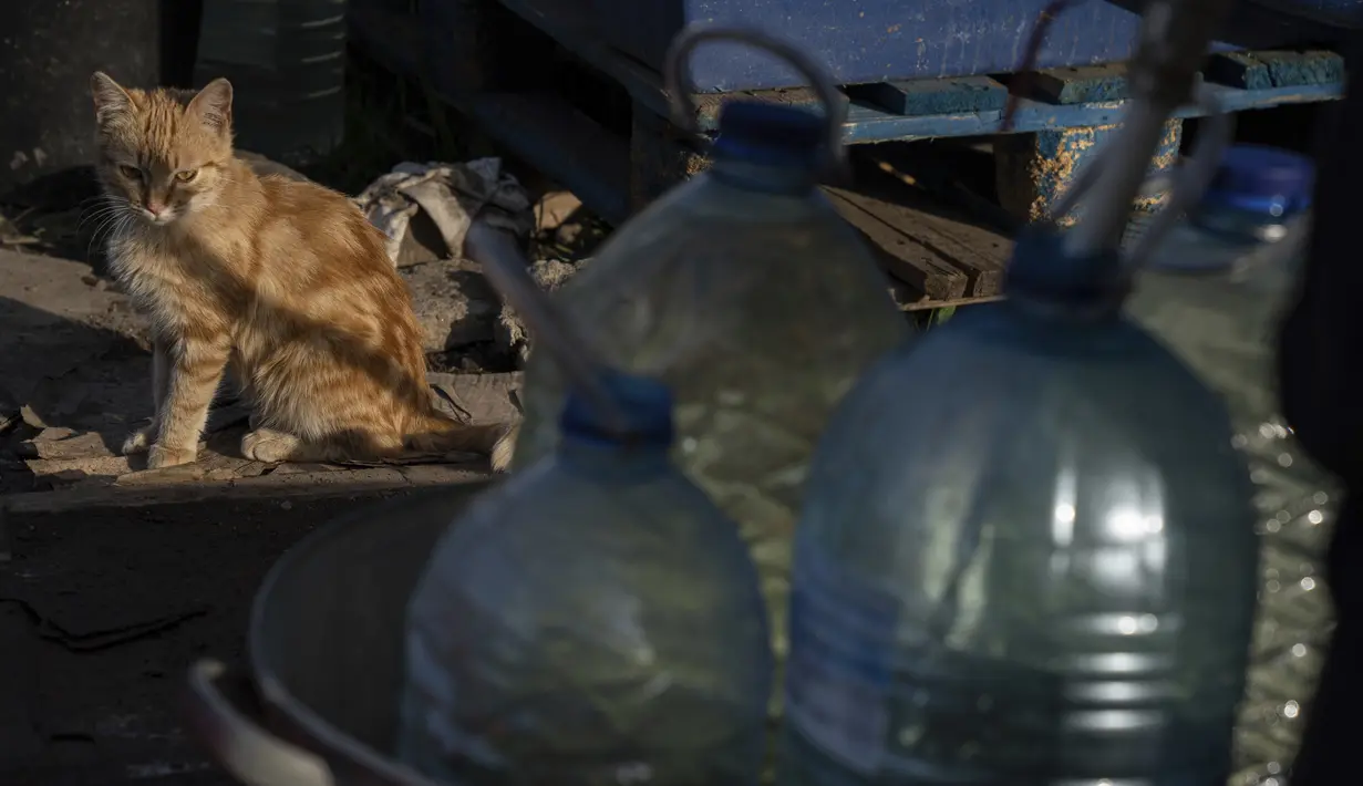 <p>Seekor kucing duduk ketika orang mengisi kaleng dengan air dari tangki air yang dipasang untuk penduduk Toretsk, di Ukraina timur, pada 25 April 2022. Penduduk Toretsk tidak memiliki akses air selama lebih dari dua bulan karena perang Rusia Ukraina. (AP Photo/Evgeniy Maloletka)</p>