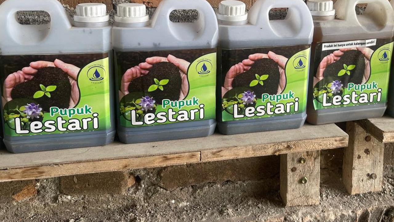 Kreatif, Nelayan Waduk Cengklik Boyolali Sulap Enceng Gondok Jadi Energi Listrik