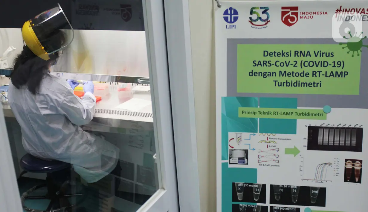 Doktor Tjandrawati Mozef menguji alat deteksi alternatif virus corona di Laboratorium Kimia LIPI Puspiptek Serpong, Tangerang Selatan, Rabu (26/8/2020).  LIPI berhasil menemukan formula deteksi virus corona dengan metode RT LAMP. (merdeka.com/Arie Basuki)