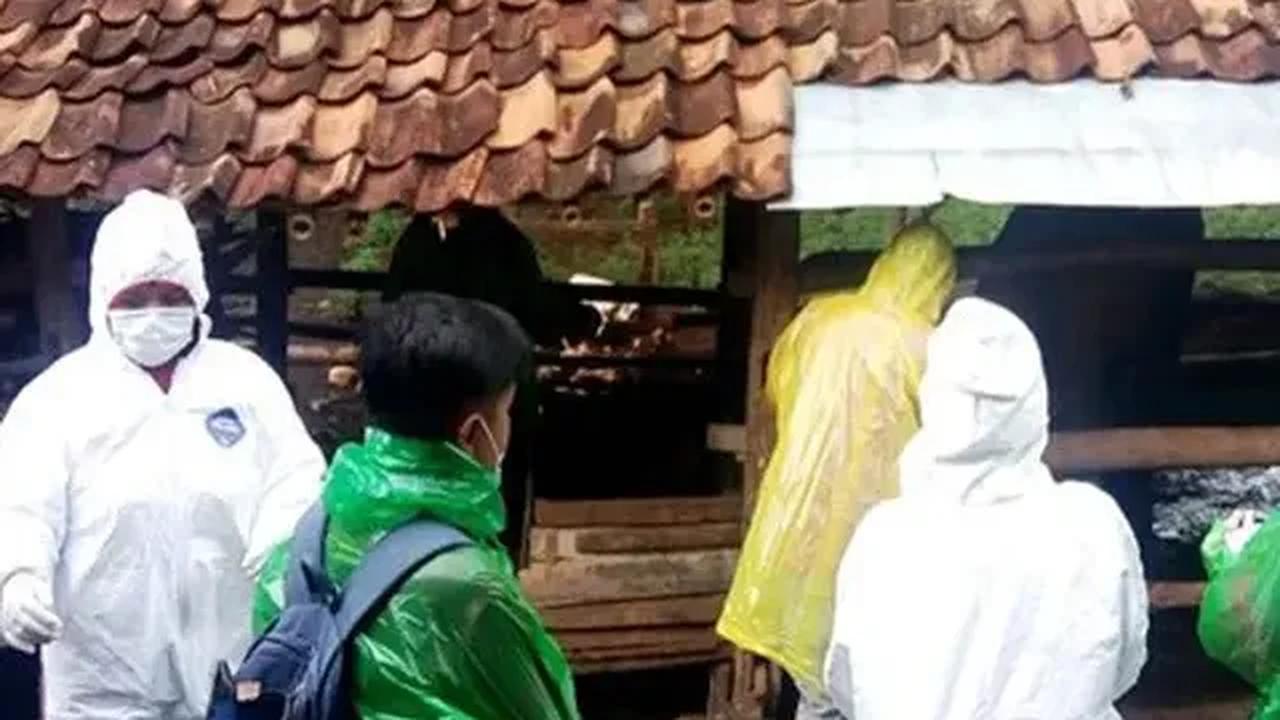 Kondisi pasien terus memburuk. Kemudian dirujuk ke RSUP Dr Sardjito tanggal 3 Juni 2023. Pasien meninggal dunia pada 4 Juni 2023.