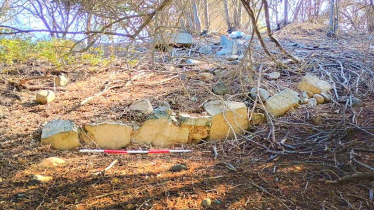 Sedang Tebang Pohon, Pekerja Temukan Piramida Misterius Berusia 3.800 Tahun, Tersembunyi di Bawah Rimbun Pepohonan