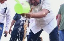 Pj Gubernur Sulsel Tanam Perdana Budidaya Pisang di Mare