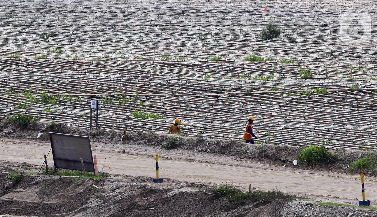 Aktivitas pekerja di tanah milik PT Pelabuhan Indonesia (Persero) atau Pelindo yang akan digunakan sebagai lokasi relokasi Depo Pertamina Plumpang terletak di NPCT 2, Koja, Jakarta Utara, Selasa (7/3/2023). Tanah seluas 23 hektare ini akan menjadi lokasi relokasi Depo Pertamina Plumpang yang direncanakan selesai Desember 2024. (Liputan6.com/Herman Zakharia)