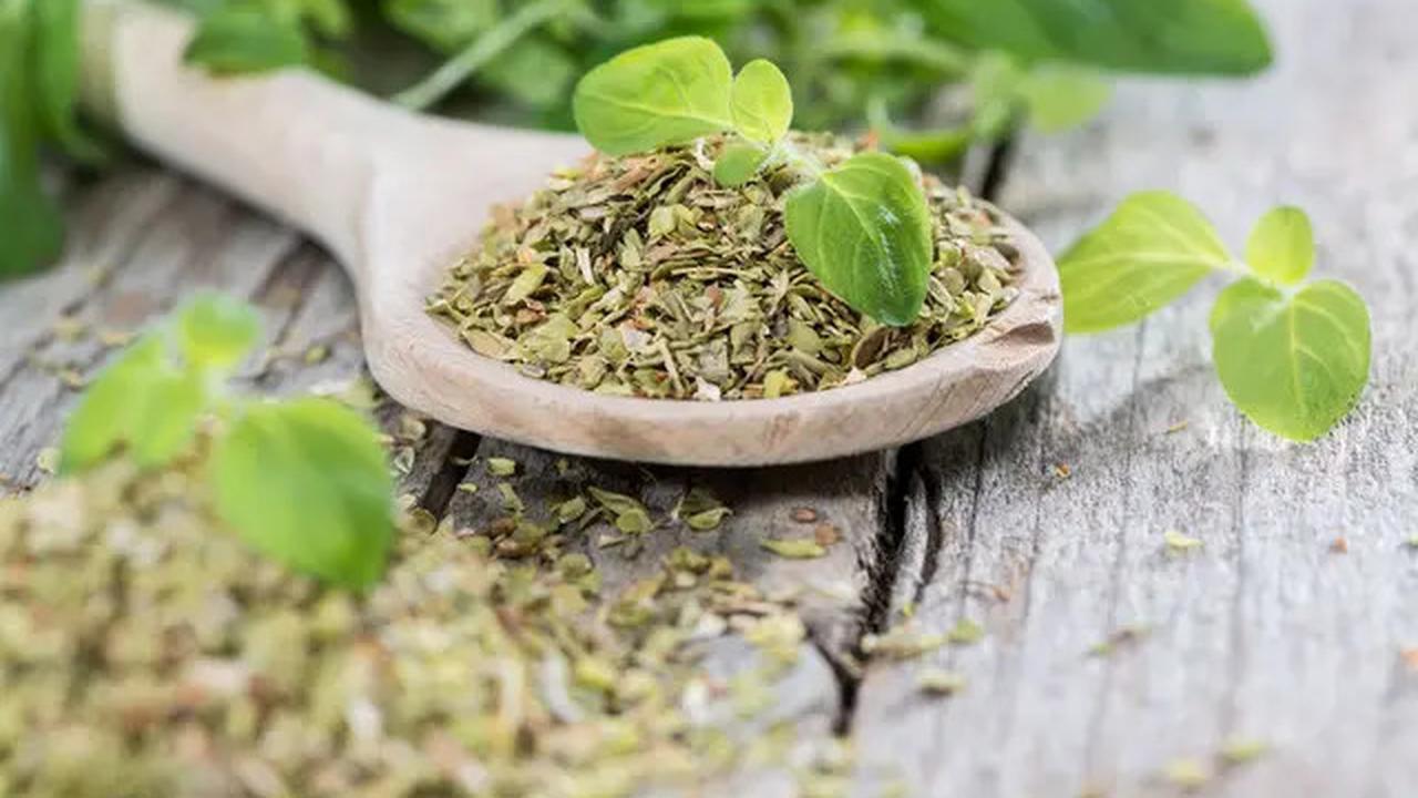 Cara Membuat Keripik Keju Enak dan Garing Tanpa Tepung