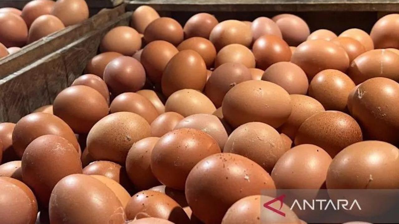 PIHPS Rilis Data Terbaru: Harga Komoditas Pangan Utama, Cabai Rawit dan Telur Ayam Alami Perubahan