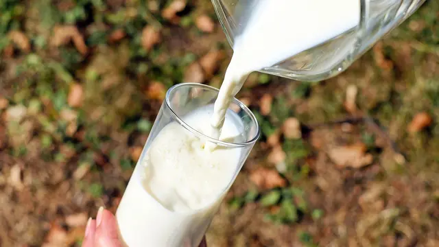 Manfaat Susu yang Jarang Diketahui, Tak Hanya untuk Kesehatan Tulang