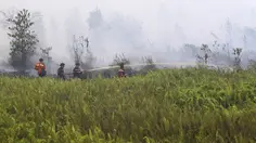 Asap Kebakaran Hutan Ancam Pasien Asma, Jangan Abaikan Gejala Ini