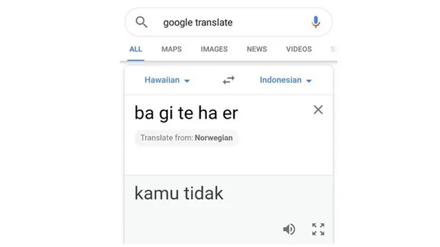 Terjemahan Nyeleneh Ala Google Translate Ini Bikin Geleng-geleng