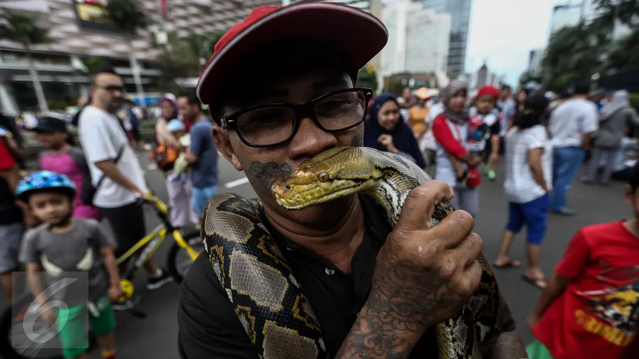 20170129-Ada Ular di Car Free Day-Jakarta