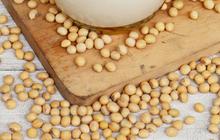 4 Cara Membuat Susu Nabati, dari Oat Milk sampai Almond Milk