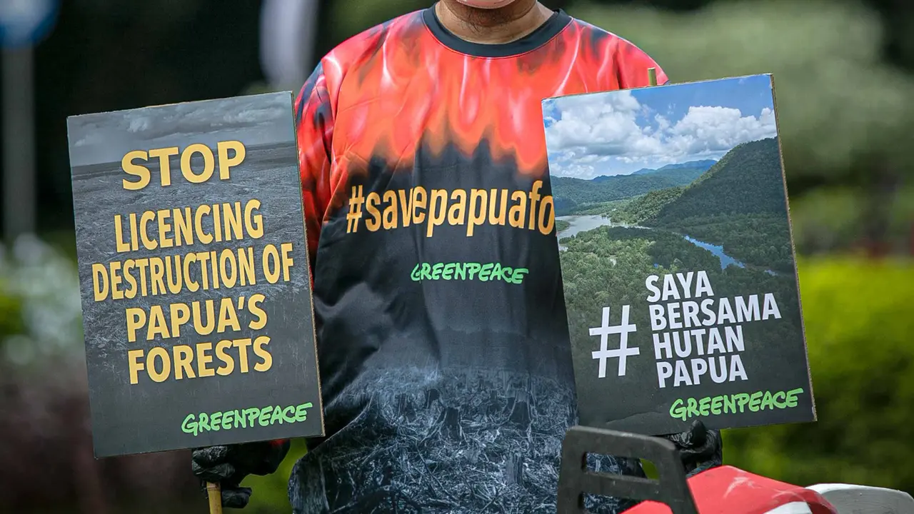 Aksi Greenpeace Tolak Perusakan Hutan Papua