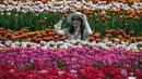 Seorang perempuan menyesuaikan topinya saat berpose untuk foto di antara deretan tulip di Abbotsford Tulip Festival di Lakeland Flowers, di Abbotsford, British Columbia, Rabu, 3 Mei 2023. (Darryl Dyck/The Canadian Press via AP)