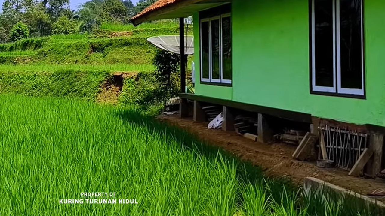 Kampung Cipancur Tasikmalaya yang indah