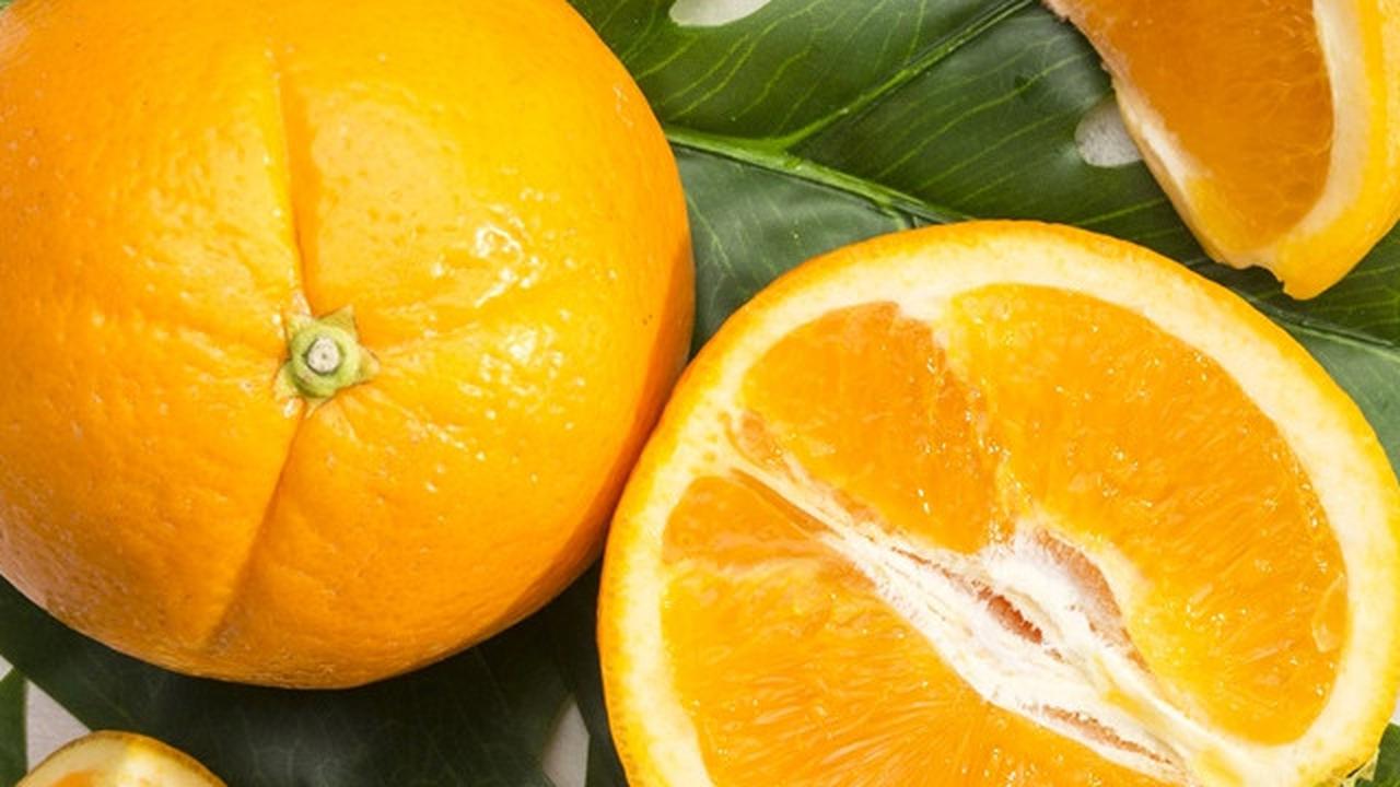 Jangan Anggap Remeh, Banyak Petani Jeruk di Kalbar Sukses Naik Haji hingga Biayai Anak Kuliah S3