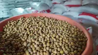 Butiran kacang kedelai impor Amerika menjadi salah satu komoditas yang sangat dibutuhkan pengrajin tempe di Garut, Jawa Barat. (Liputan6.com/Jayadi Supriadin)