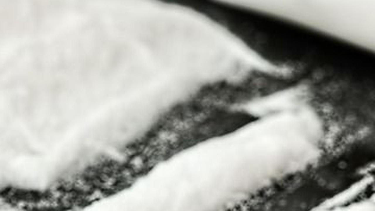 BNN Ungkap Jaringan Narkoba Malaysia-Kalimantan, Sabu-Sabu 20 Kg dan Ganja Dimusnahkan