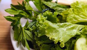 Orang Dewasa Butuh Sekitar 25 gram Serat per Hari, Ini Fungsinya bagi Tubuh. Foto: Liputan6.com/Ade Nasihudin.