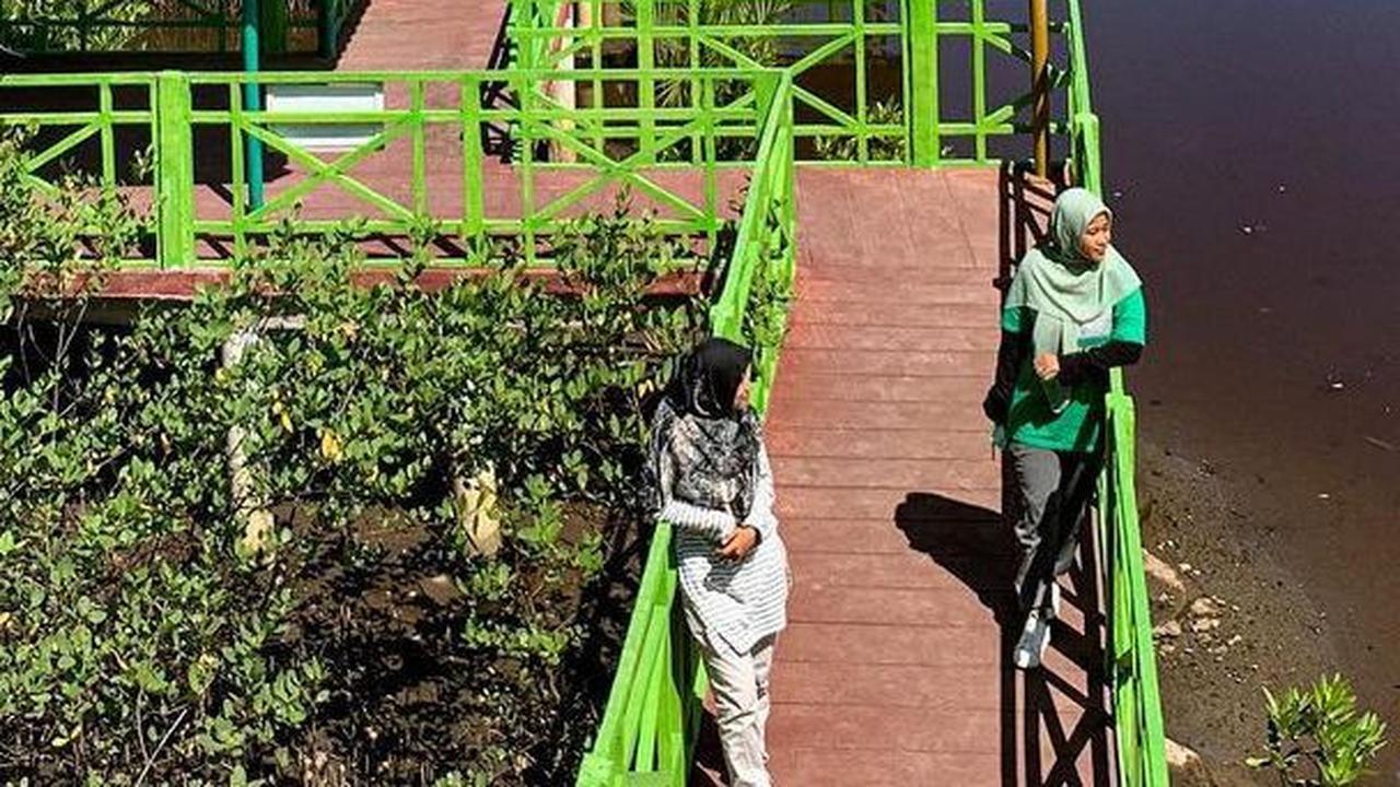 Punya Sekolah Tinggi Ilmu Beruk, Intip Fakta Unik Desa Wisata Apar di Pariaman