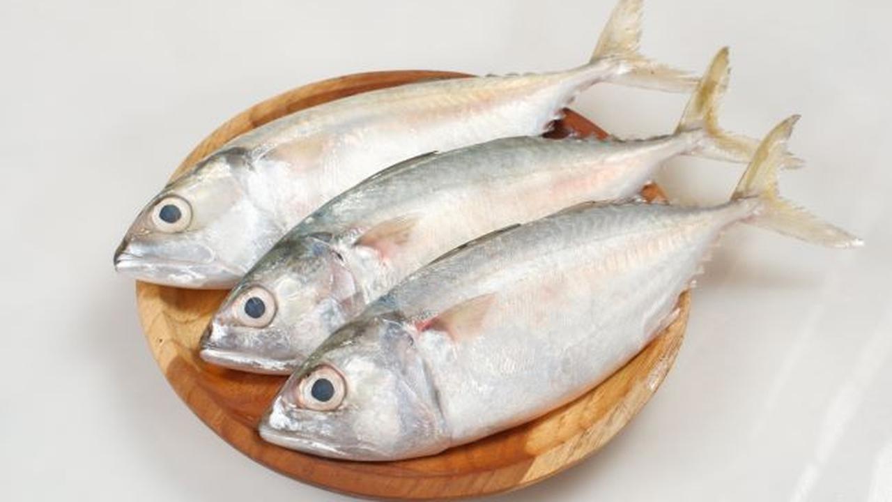 Ikan Kembung